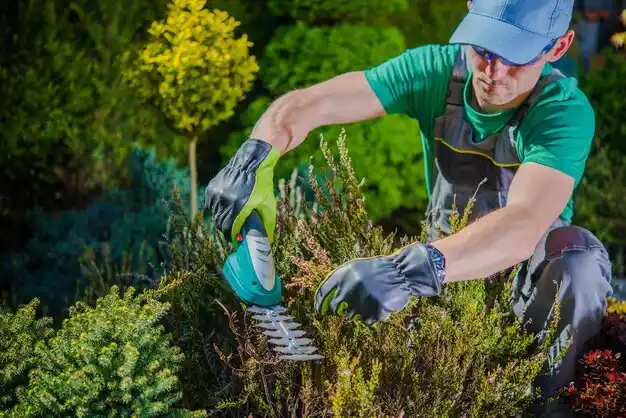 landscaping services Craig Beach
